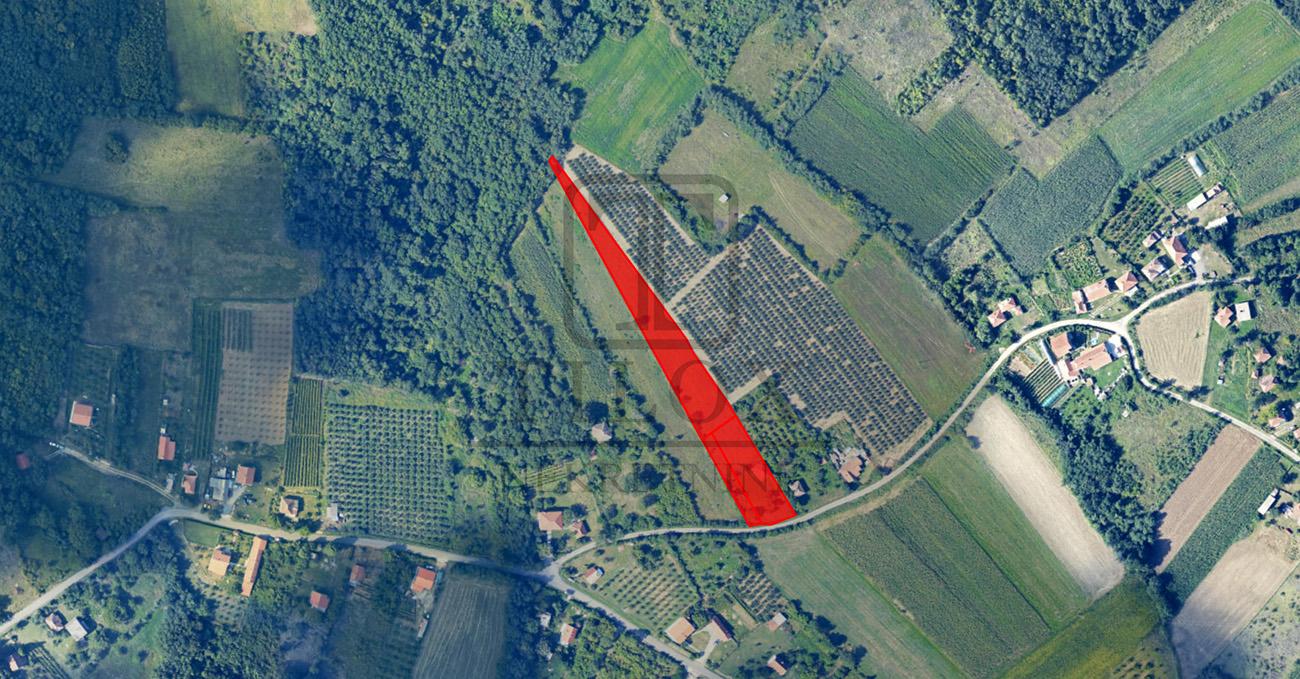 Plac sa starom kućom, Mladenovac, Koraćica - Слика# 4