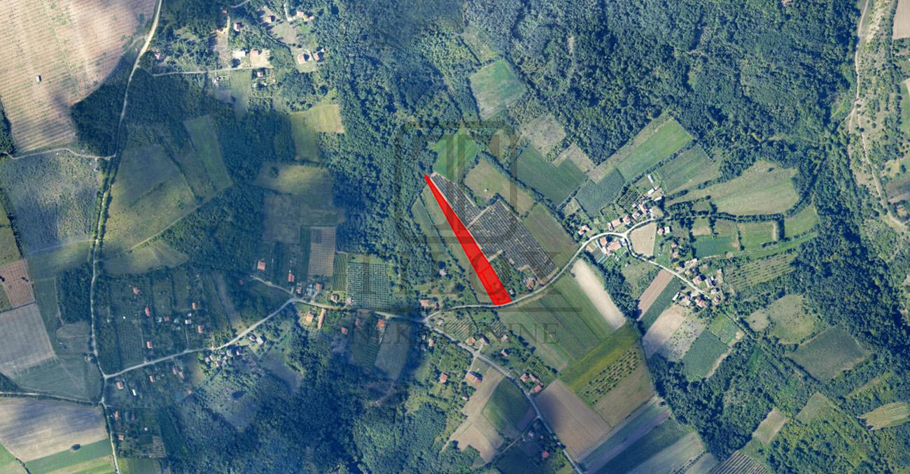 Plac sa starom kućom, Mladenovac, Koraćica - Слика# 5