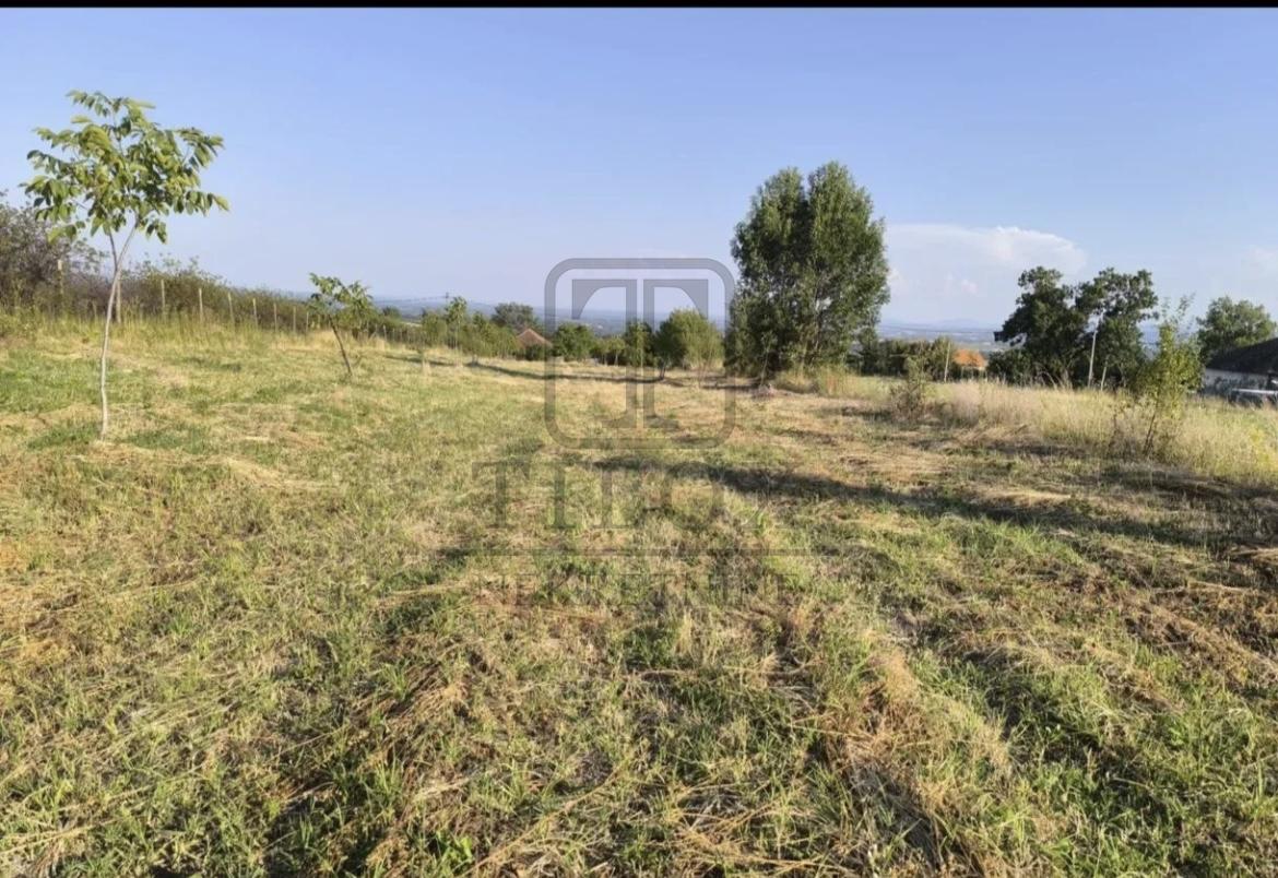 Plac sa starom kućom, Mladenovac, Koraćica - Слика# 3